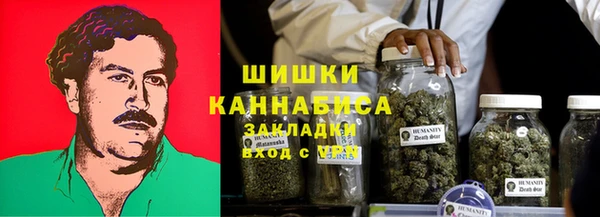 сатива Зерноград