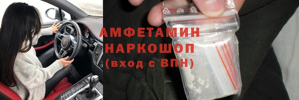сатива Зерноград