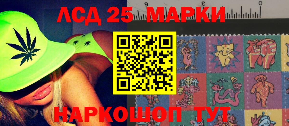 Лсд 25 экстази ecstasy  ЛСД экстази ecstasy  Бердск  Вход с VPN 