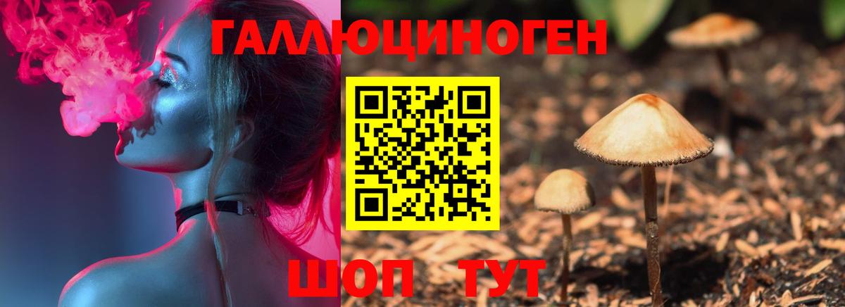 Псилоцибиновые грибы Magic Shrooms  как найти закладки  Вход с VPN  Бердск  Галлюциногенные грибы мухоморы 